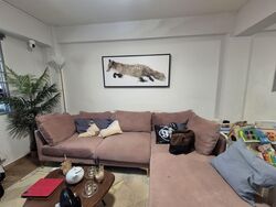 Blk 42 Holland Drive (Queenstown), HDB 3 Rooms #564574531